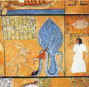 Dio Apophis