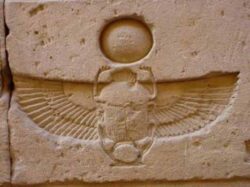 The scarabs