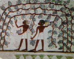 Bevande antico Egitto
