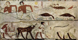 Storia dell'antico Egitto: preistoria